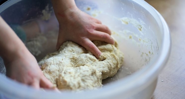 No Food is Safe: How E.Coli Gets Into Flour