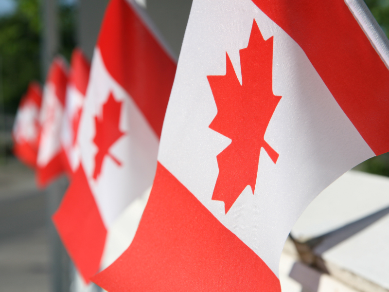 FSM Made in Canada blog3 FSM Made in Canada blog3