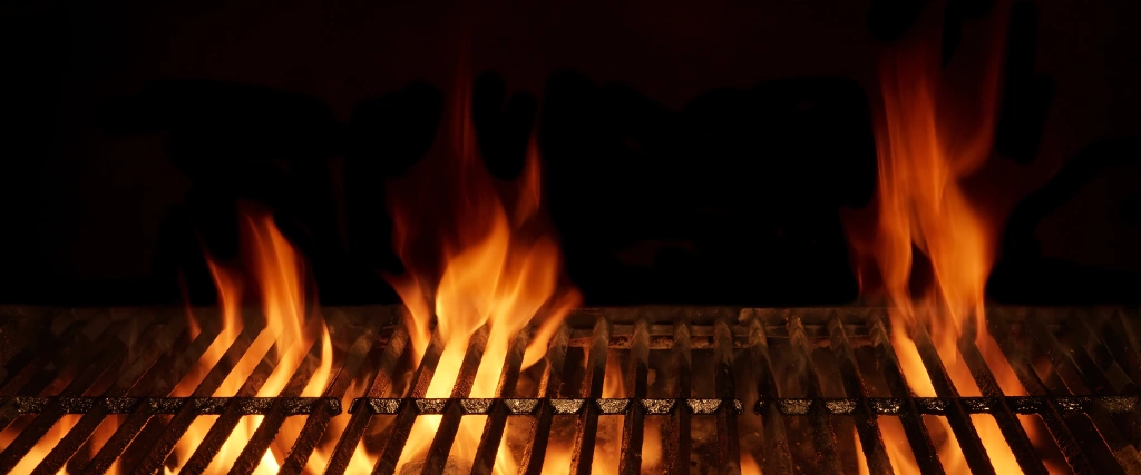 BBQ Food Safety Tips for Your Summer Grilling