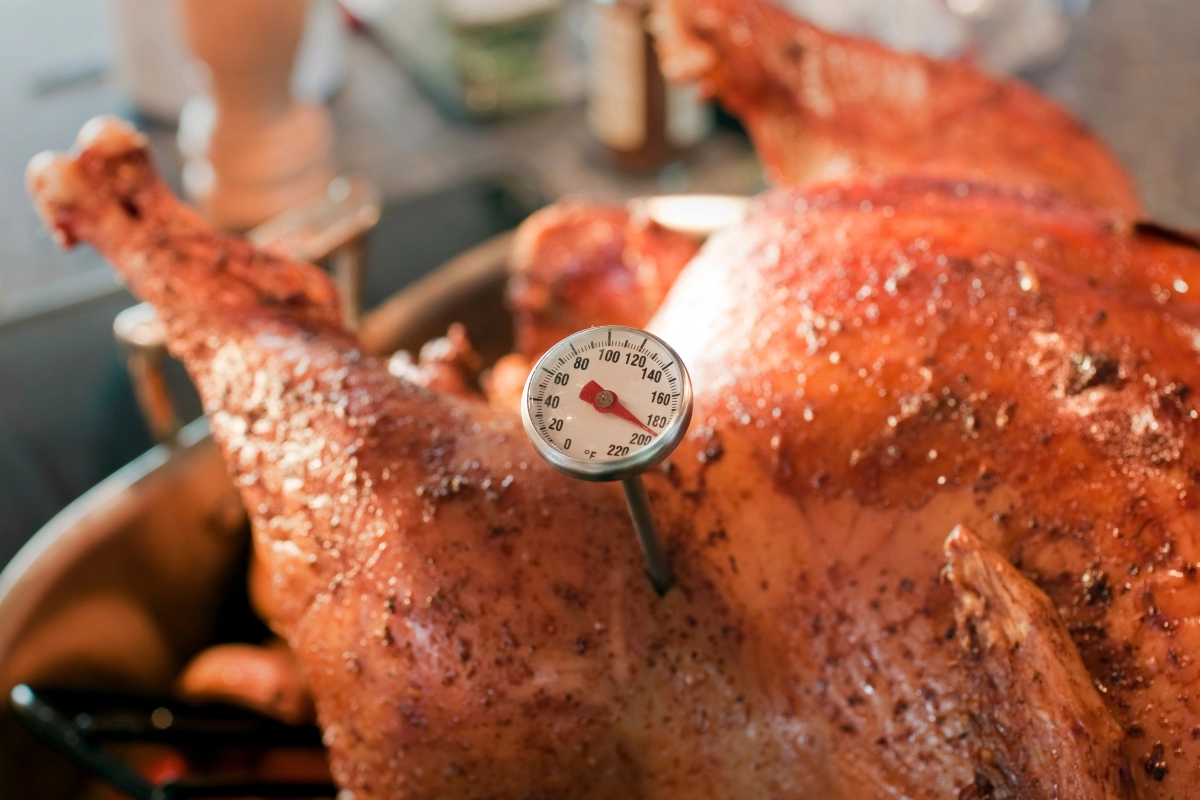 OvenSafeThermometer_iStock-155280203