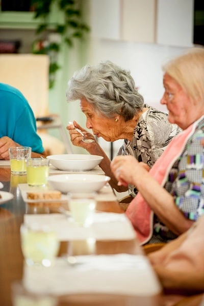 Sécurité alimentaire dans les maisons de retraite canadiennes